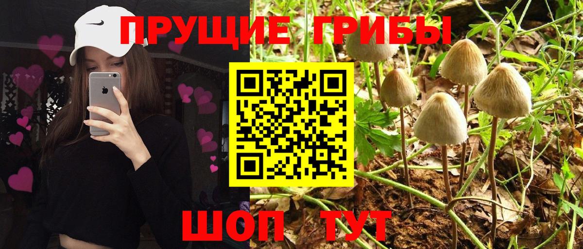 Гудермес  Галлюциногенные грибы Cubensis  Псилоцибиновые грибы ЛСД  Вход с VPN 