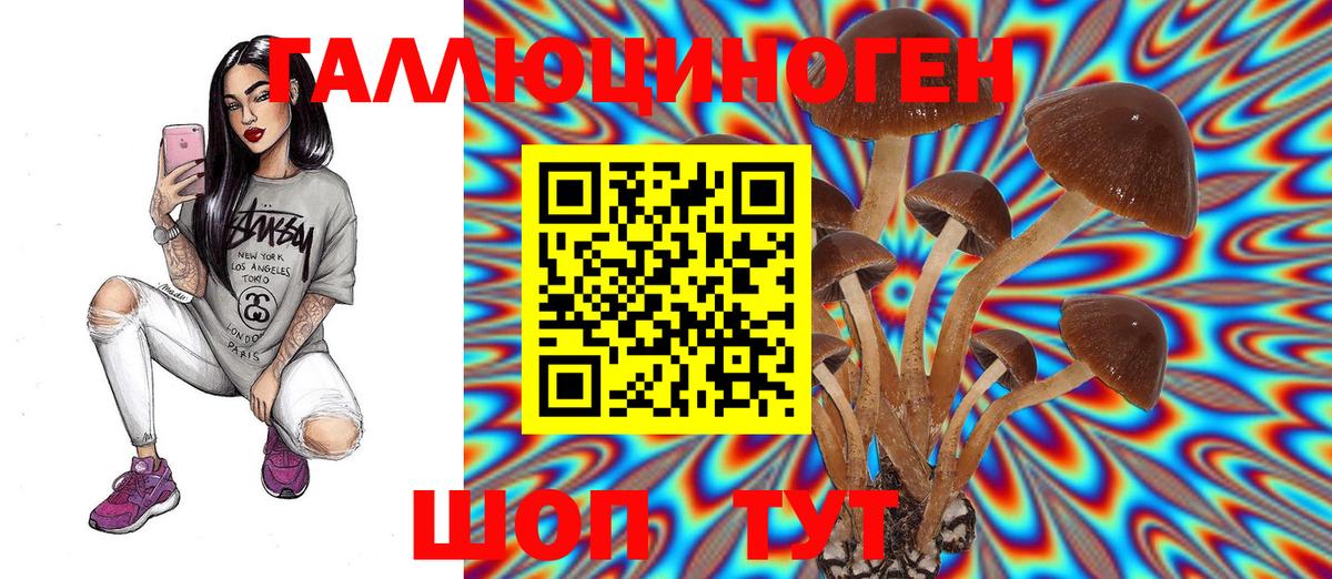 Псилоцибиновые грибы мицелий Гудермес